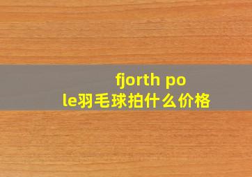 fjorth pole羽毛球拍什么价格